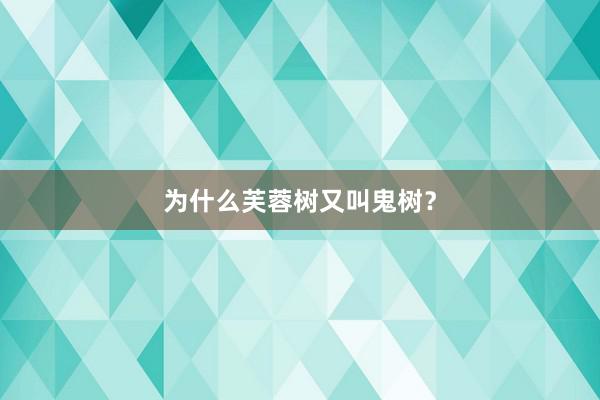 为什么芙蓉树又叫鬼树？