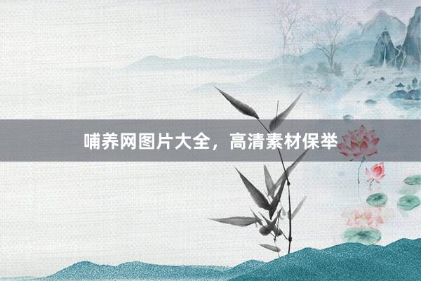 哺养网图片大全，高清素材保举
