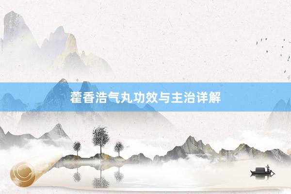 藿香浩气丸功效与主治详解